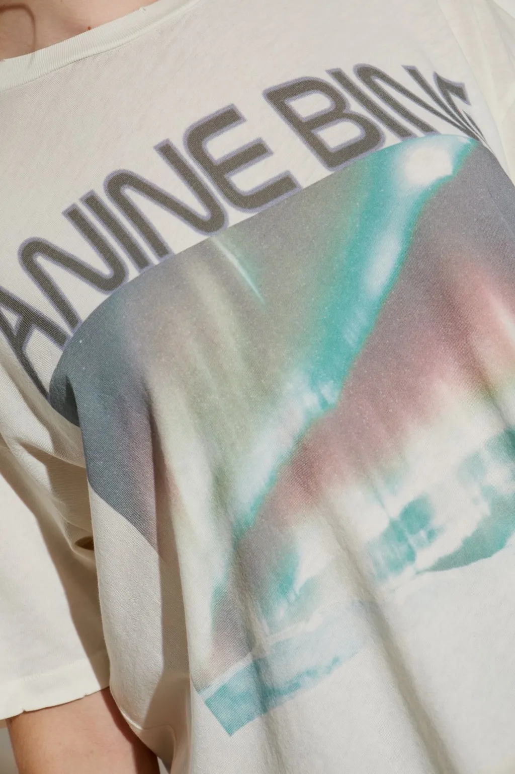 Anine Bing Cade Crewneck T-Shirt