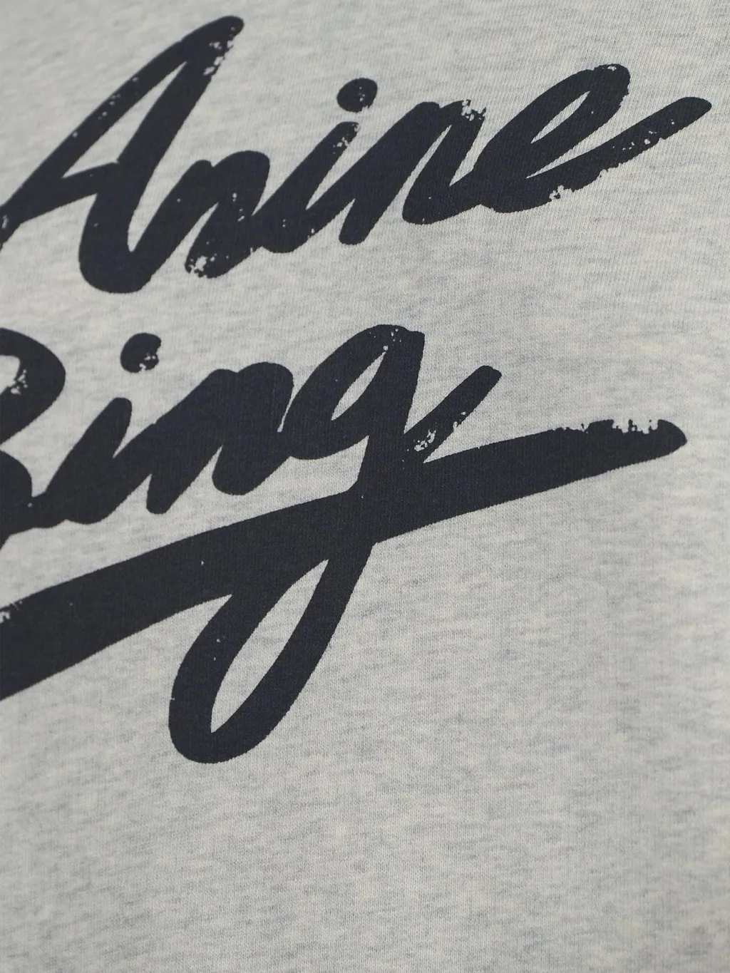Anine Bing Harvey Logo Printed Hoodie