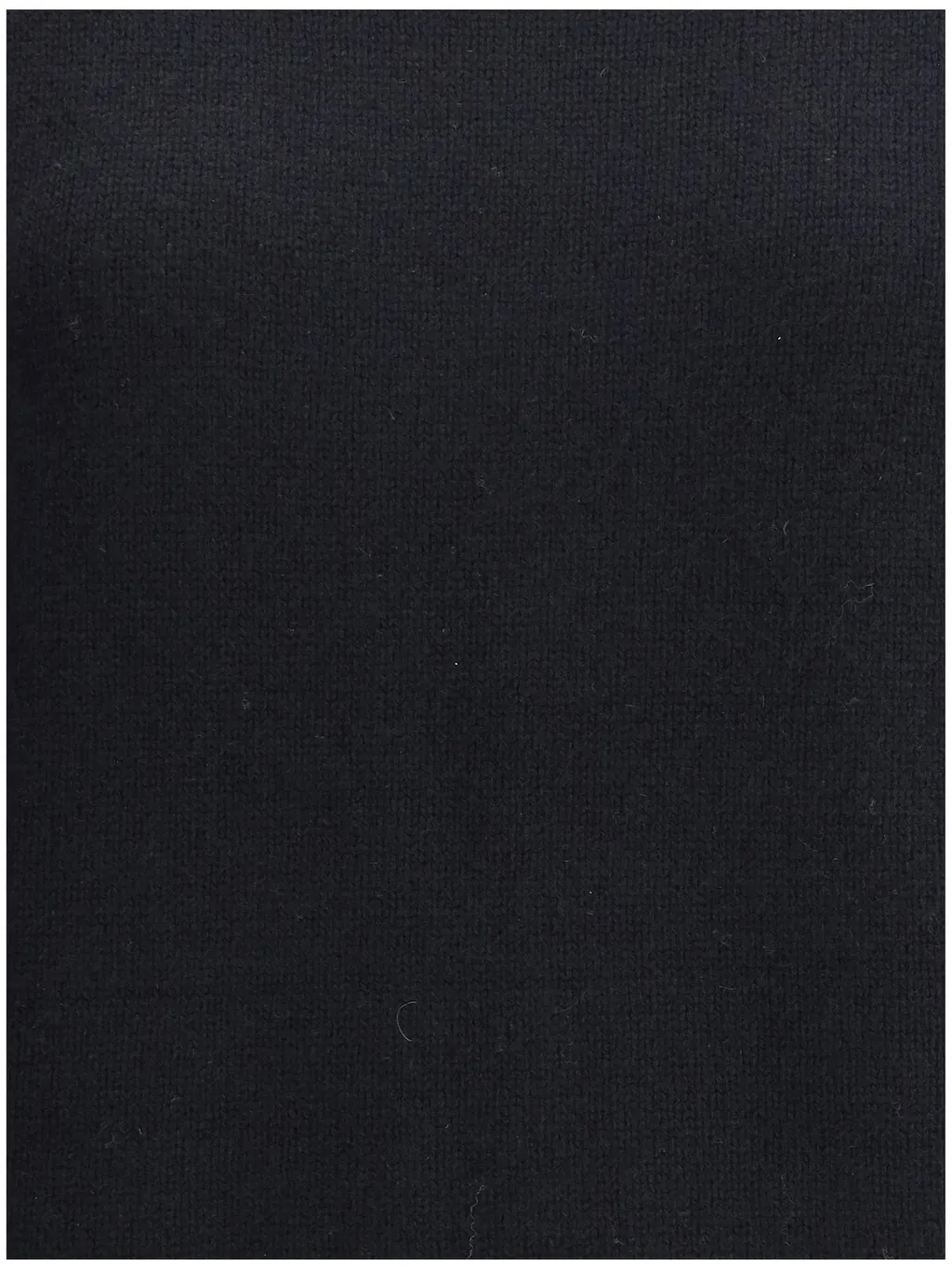 Allude Cashmere Turtleneck Knitwear