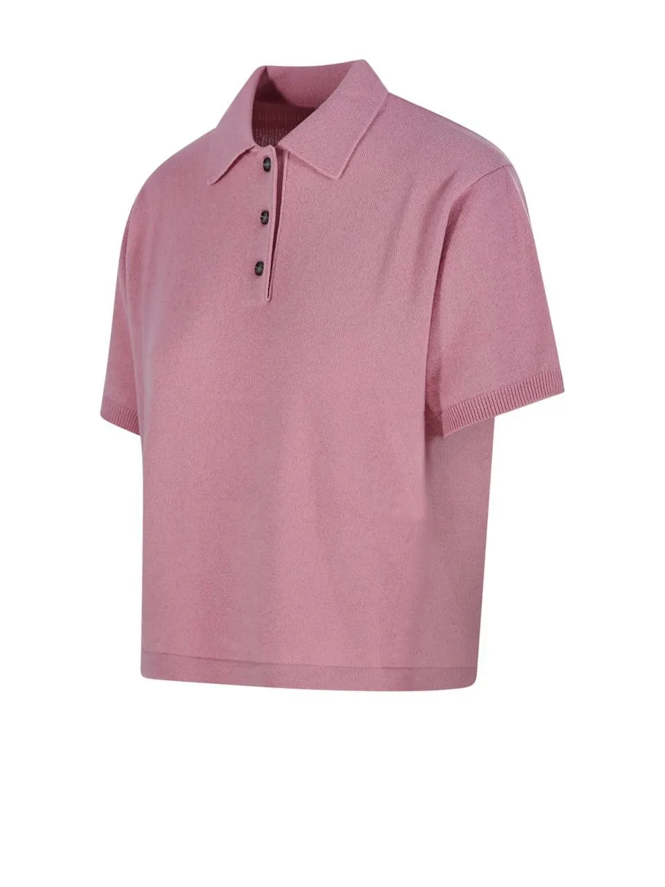 Allude Cashmere Polo Knitwear