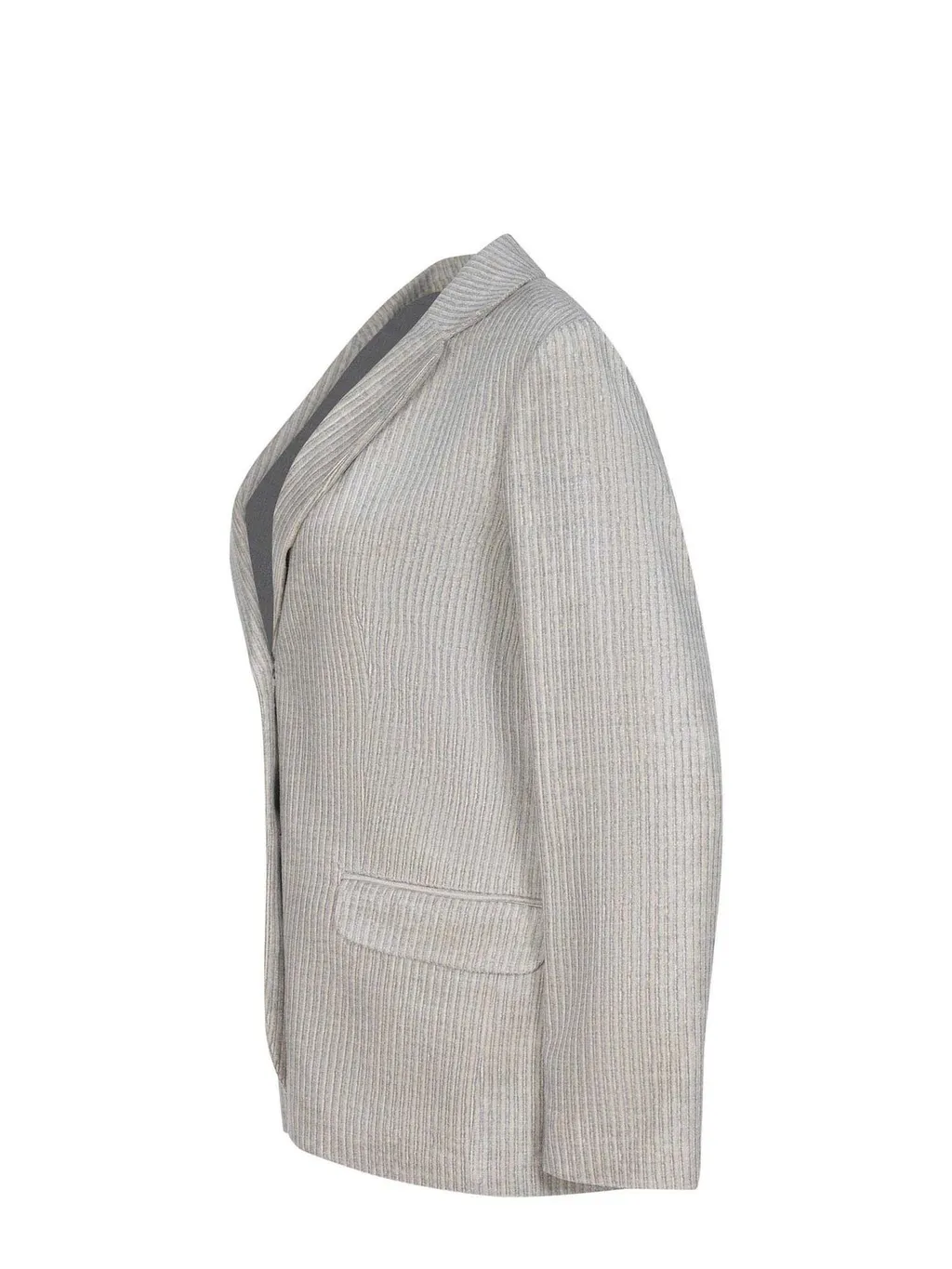 Alysi Striped Single-Breasted Blazer
