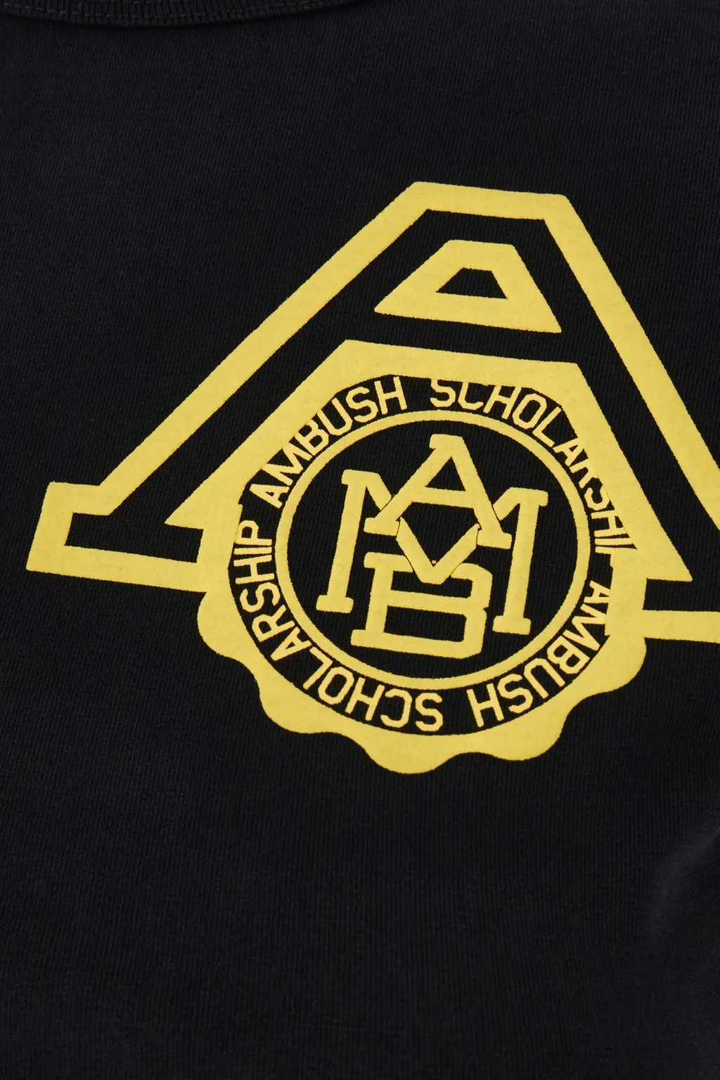 Ambush Scholarship Cropped T-Shirt