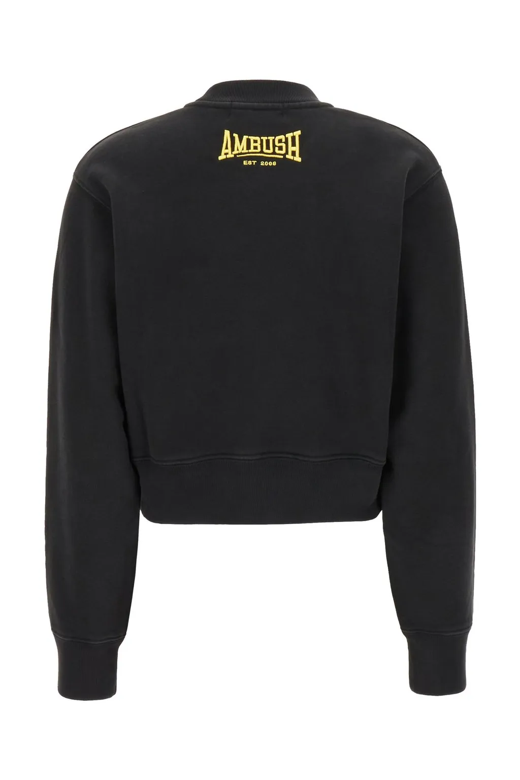 Ambush Scholarship Cropped Sweatshirt