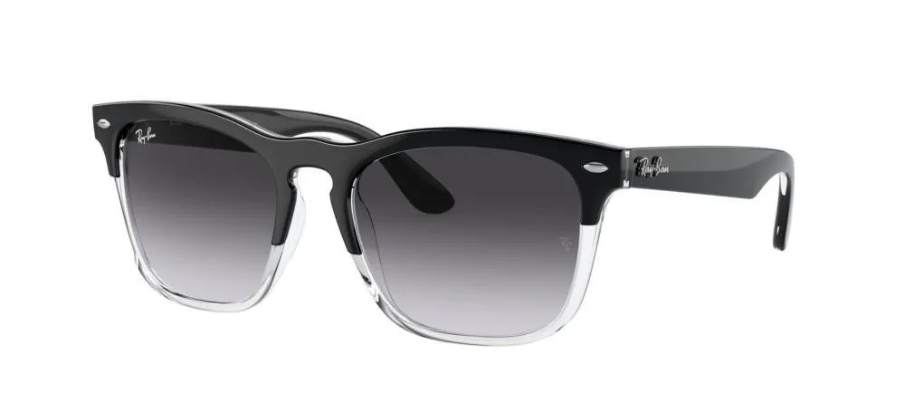 Ray-Ban Steve Square Frame Sunglasses