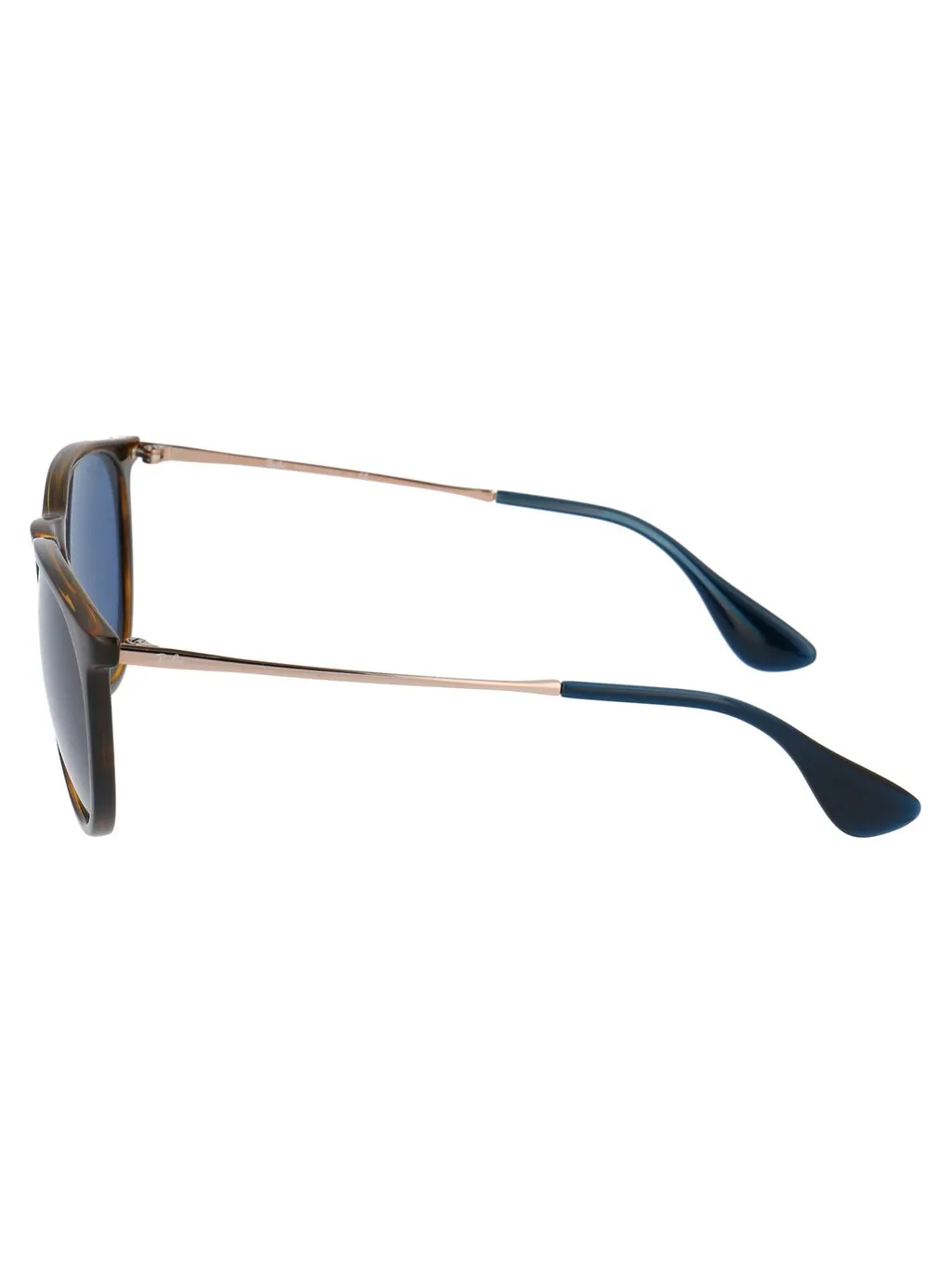 Ray-Ban Erika Oval Frame Sunglasses