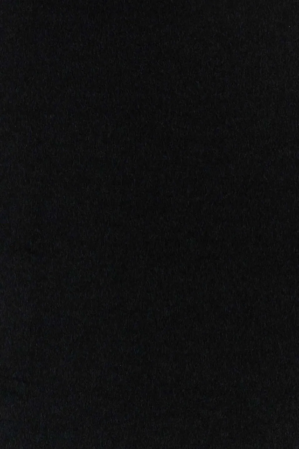 Prada Two-Toned Fringed Blanket