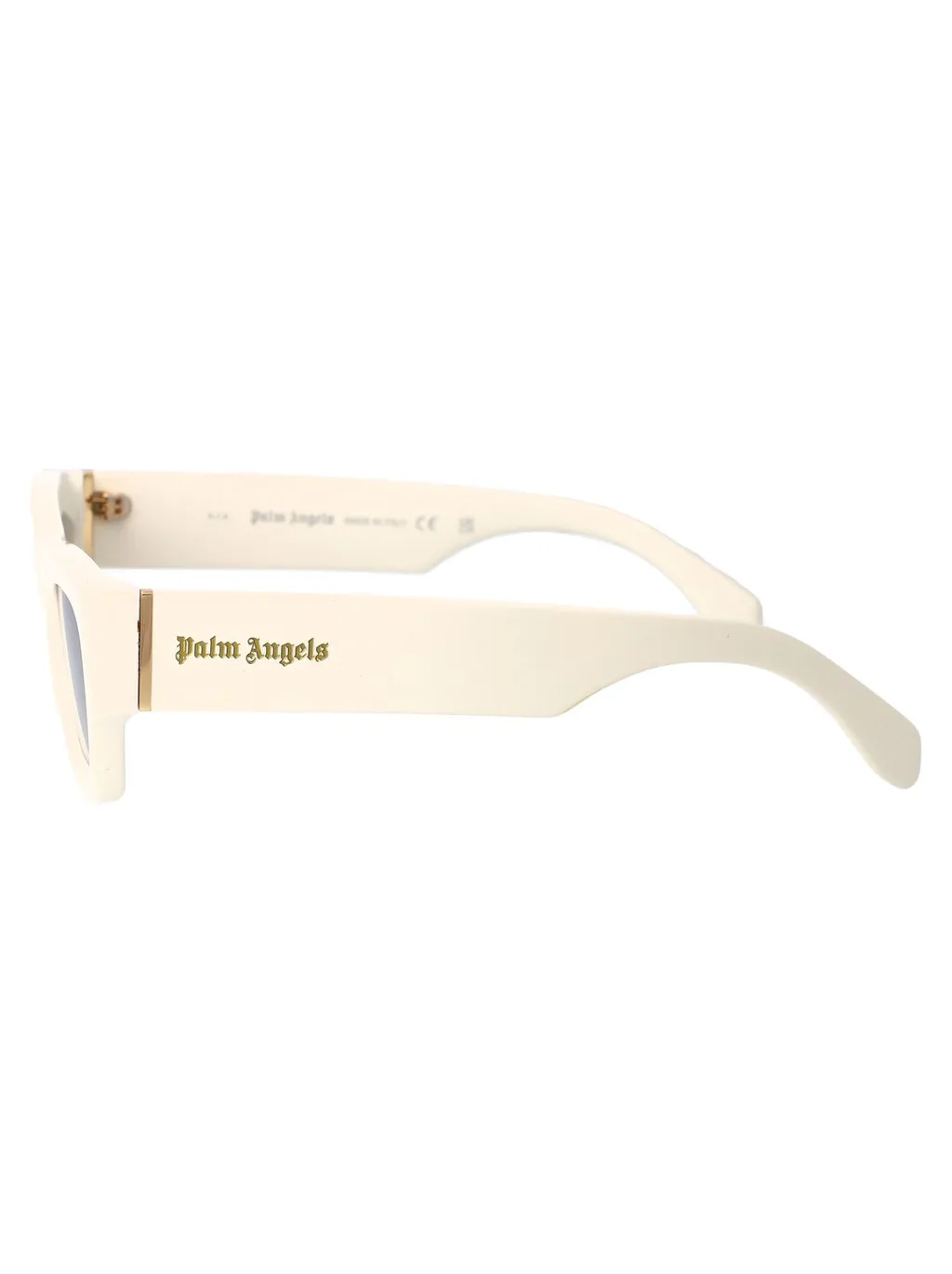 Palm Angels Eyewear Auberry Rectangle-Frame Sunglasses