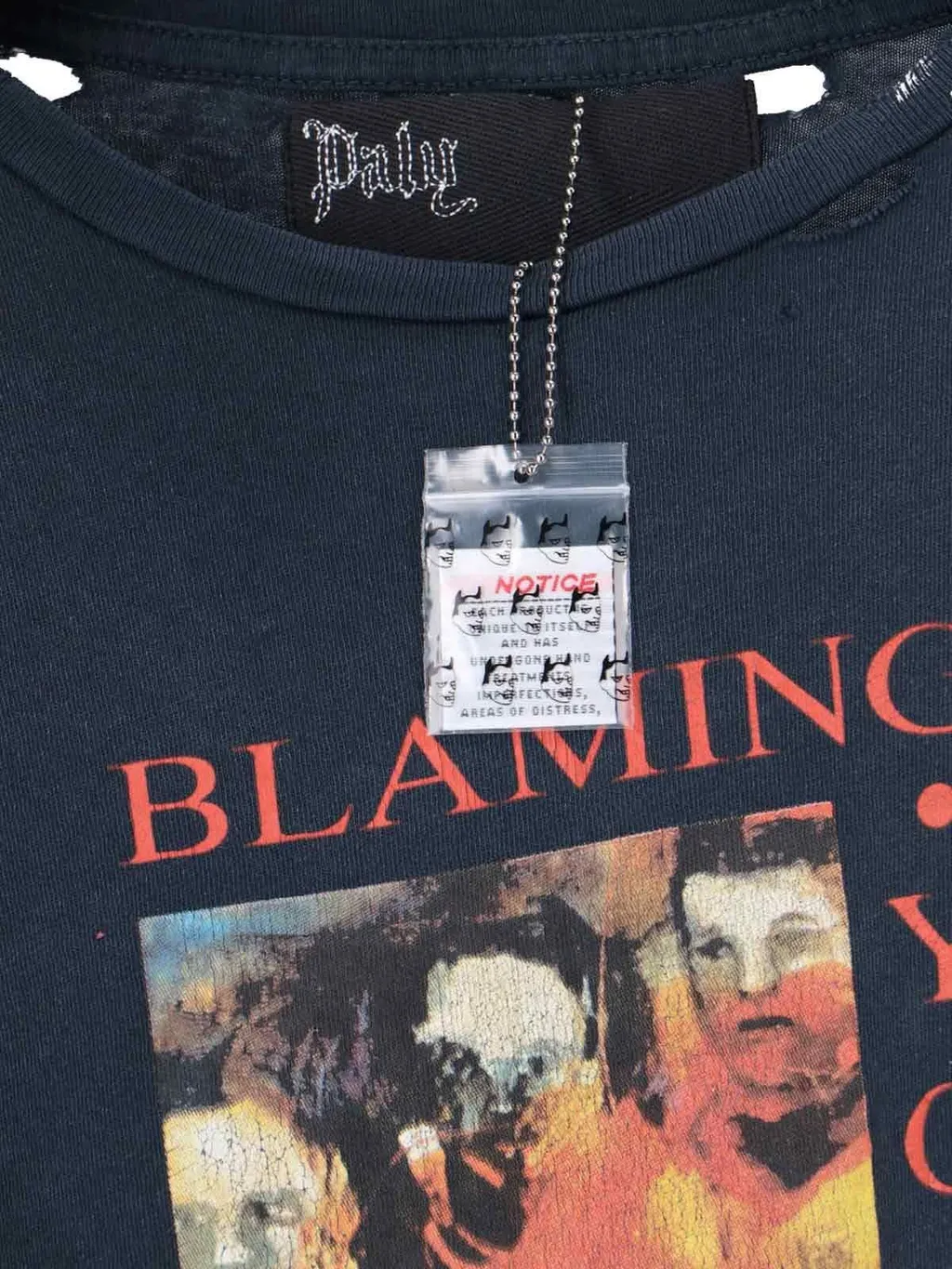 Paly Blaming Youth T-Shirt