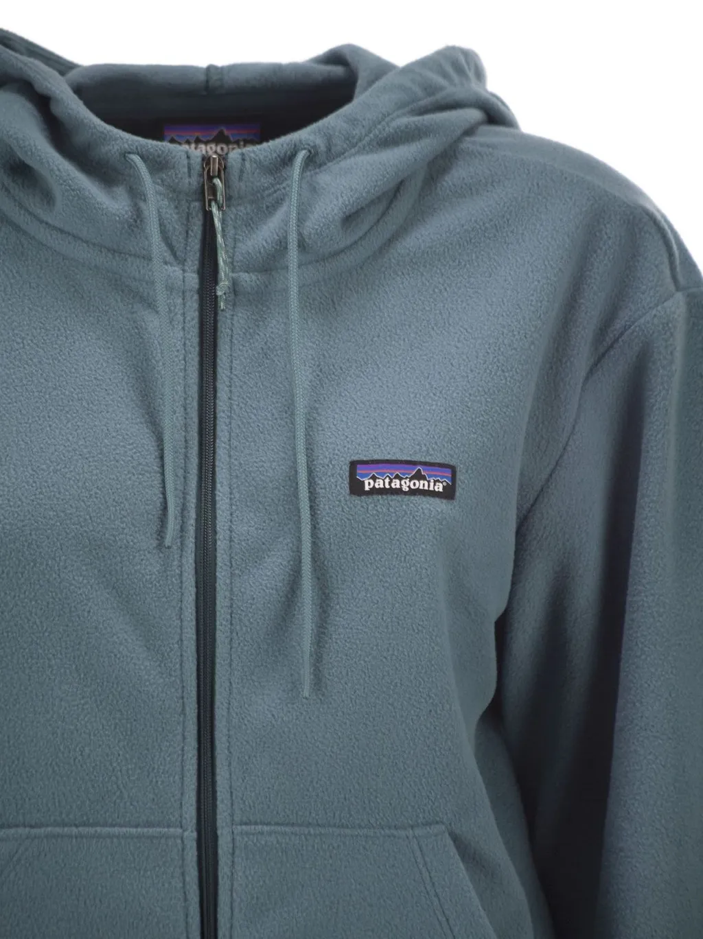 Patagonia Micro D Fleece Hoody Jacket