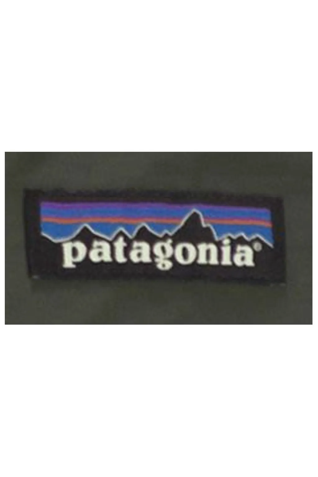 Patagonia Jackson Hooded Parka