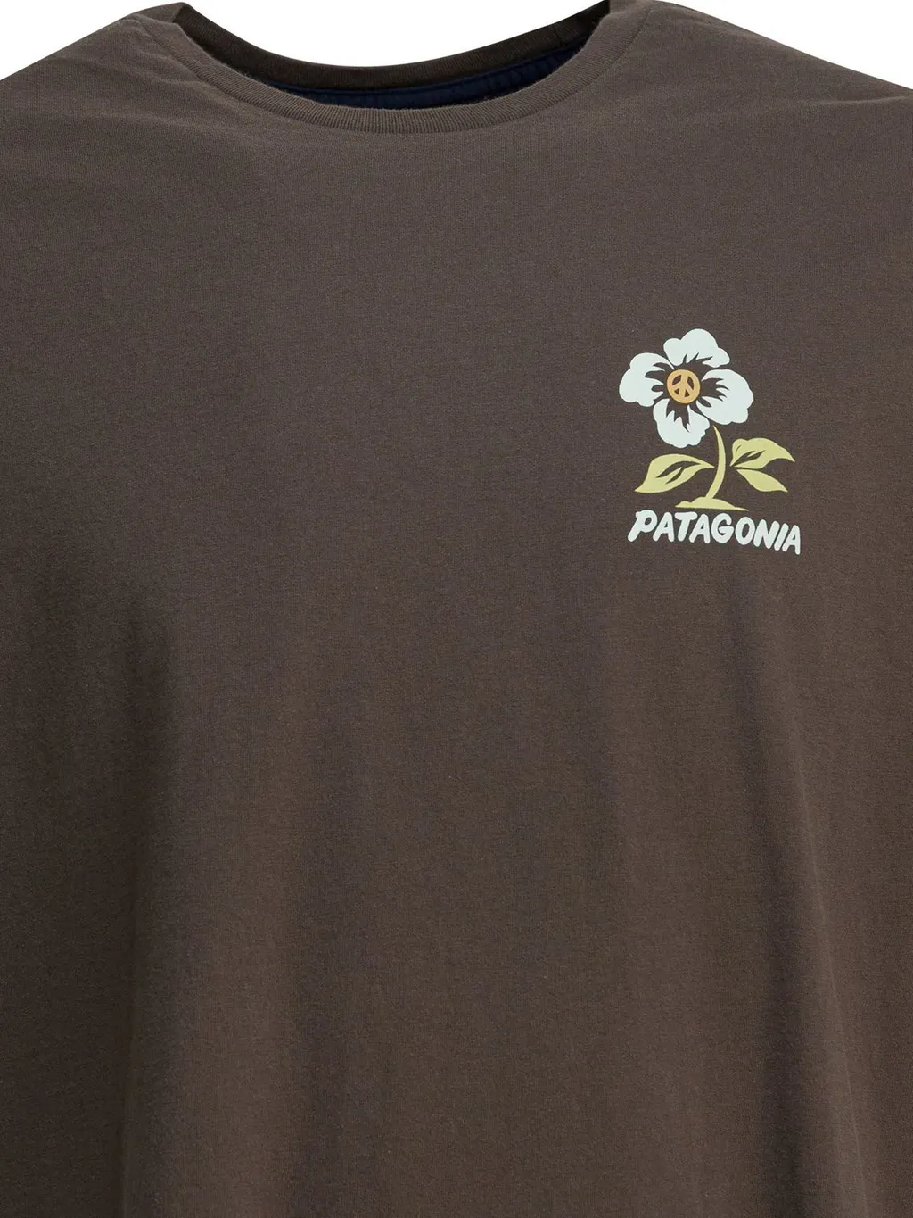 Patagonia Graphic T-Shirt