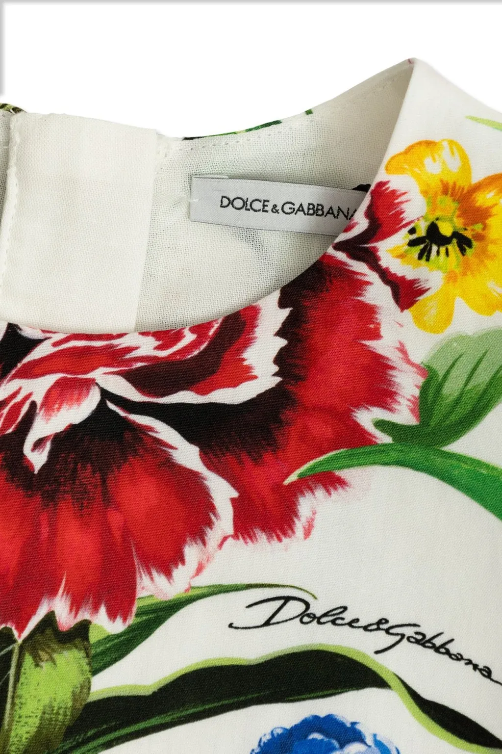 Dolce & Gabbana Kids Floral Printed Dress