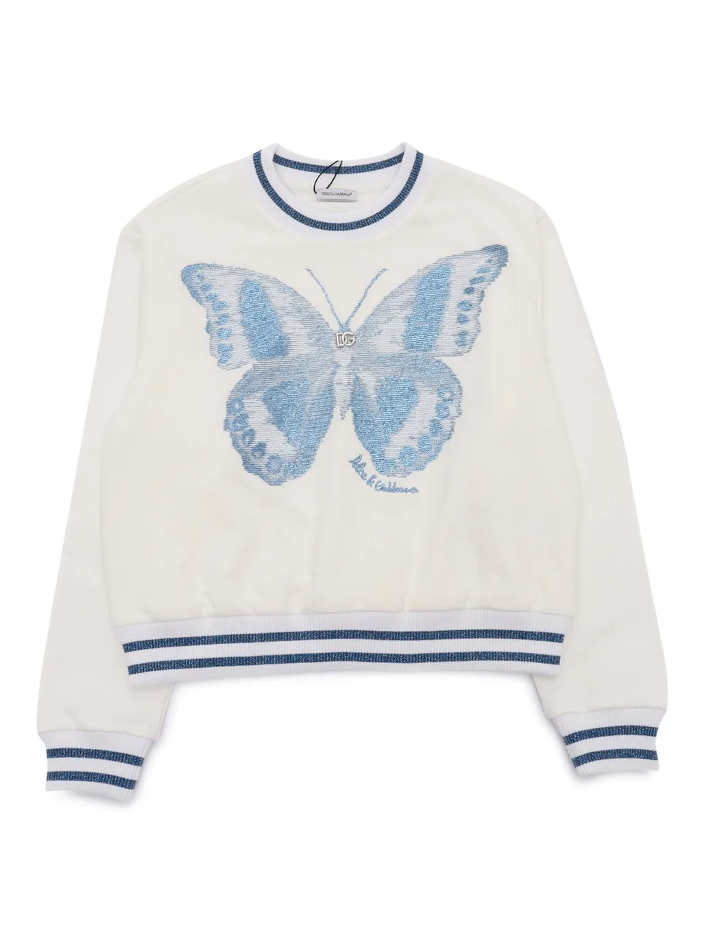Dolce & Gabbana Kids Butterfly And Dg Logo Round-Neck Sweatshirt