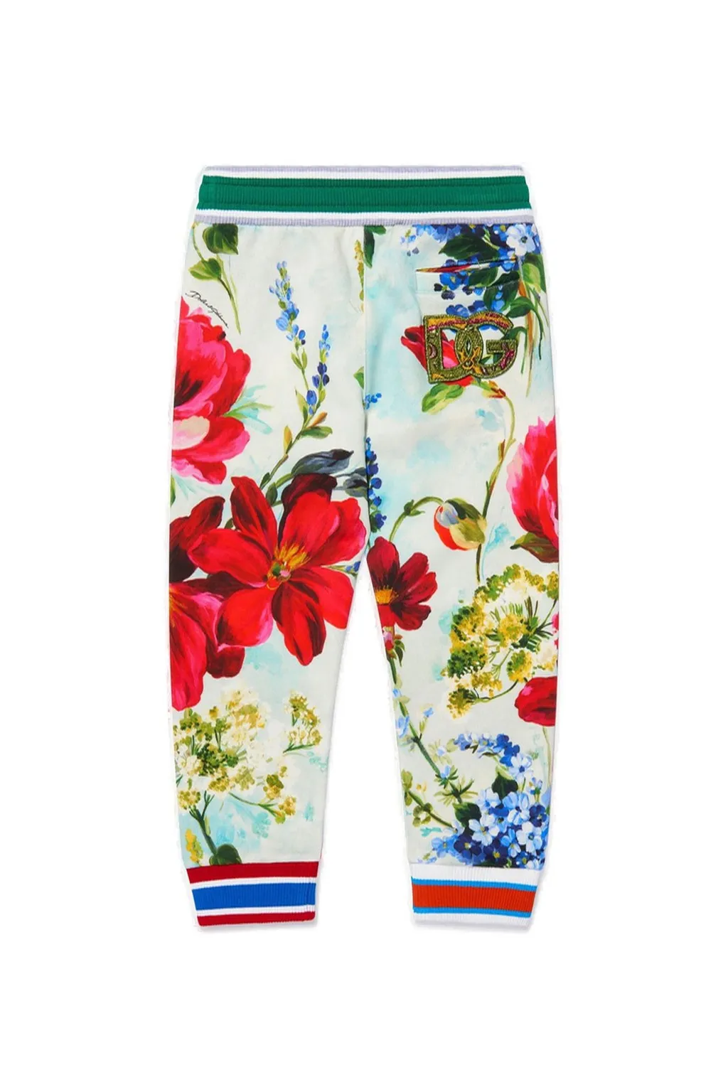 Dolce & Gabbana Kids Garden-Printed Drawstring Track Pants