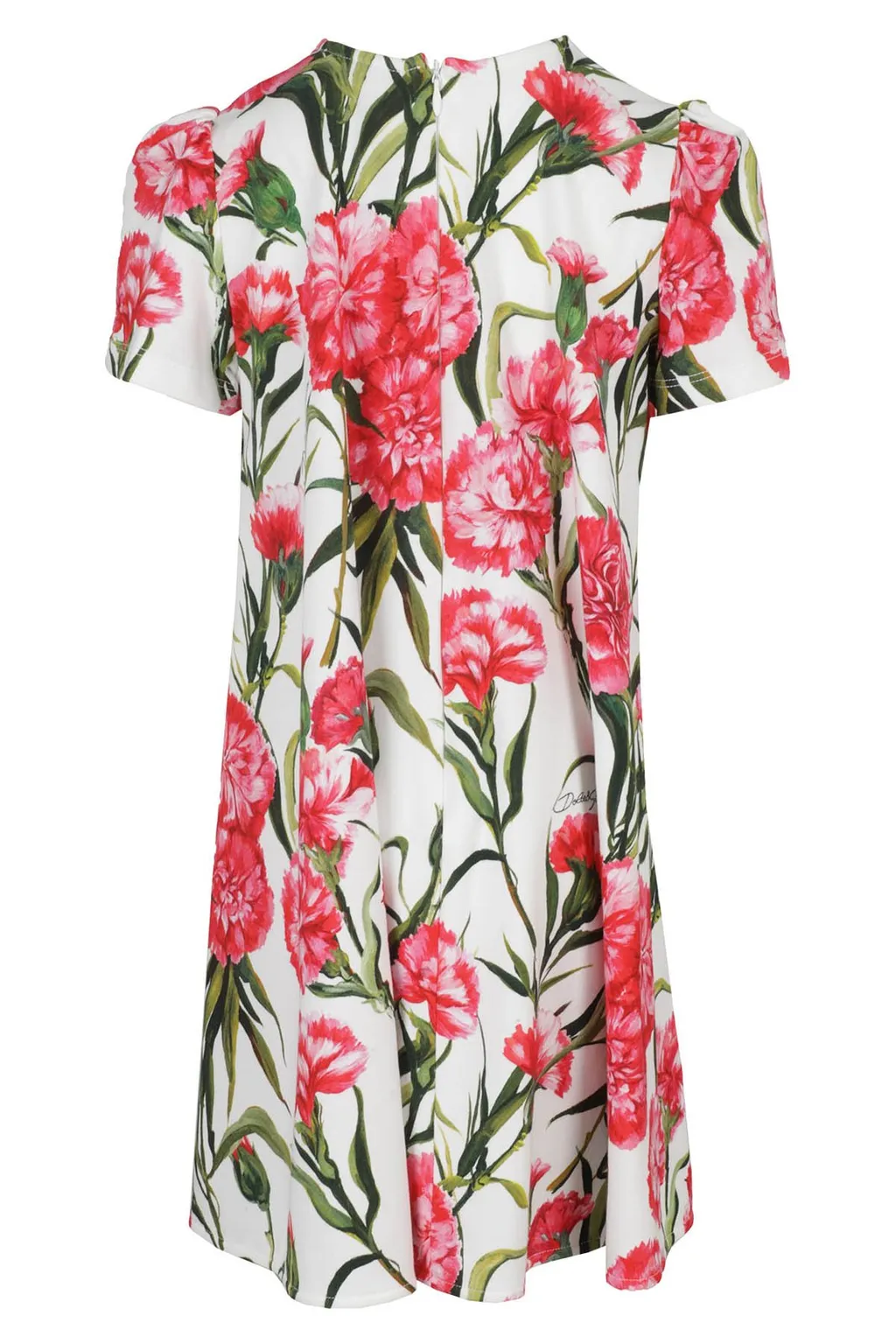 Dolce & Gabbana Kids Floral Printed Crewneck Dress