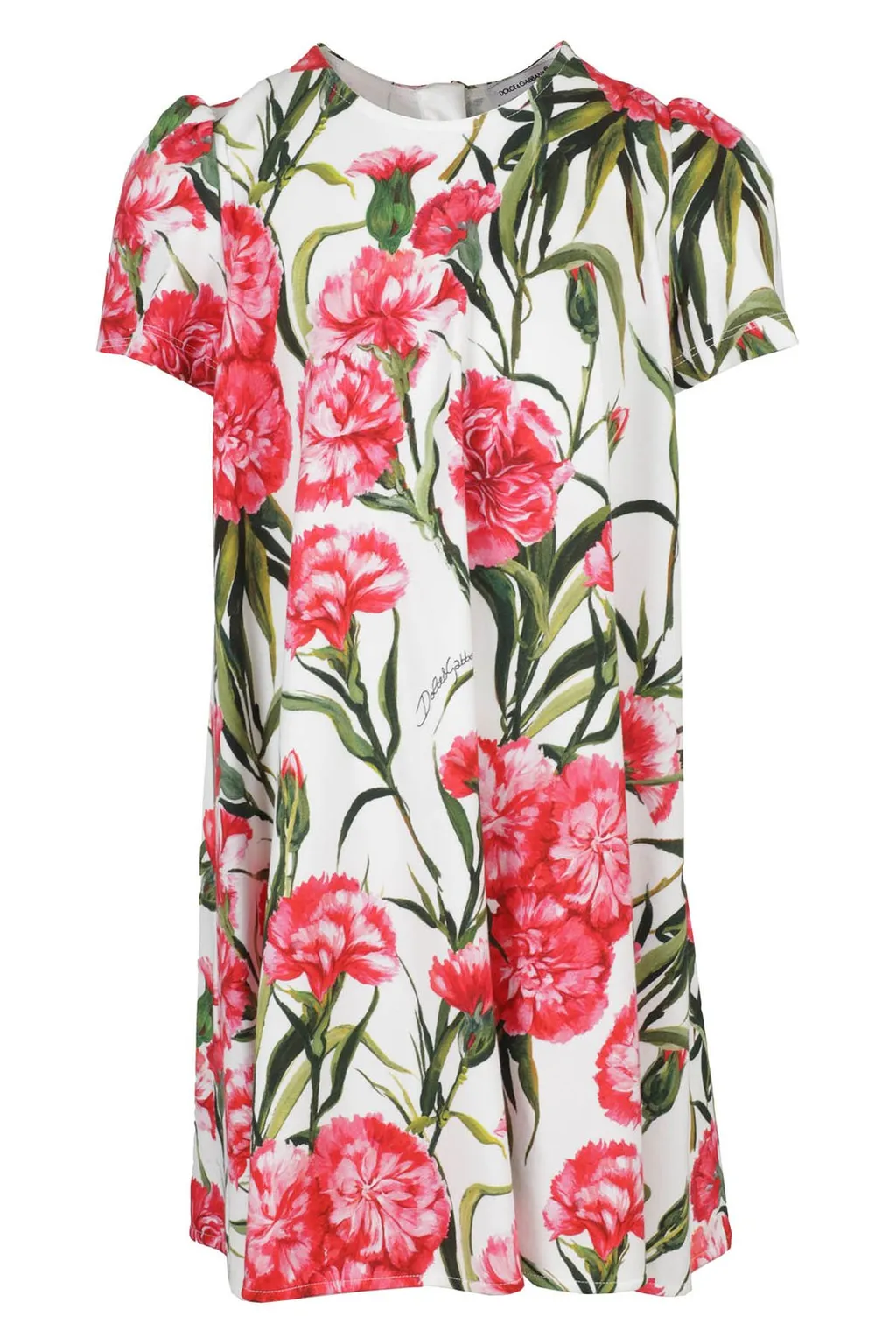 Dolce & Gabbana Kids Floral Printed Crewneck Dress