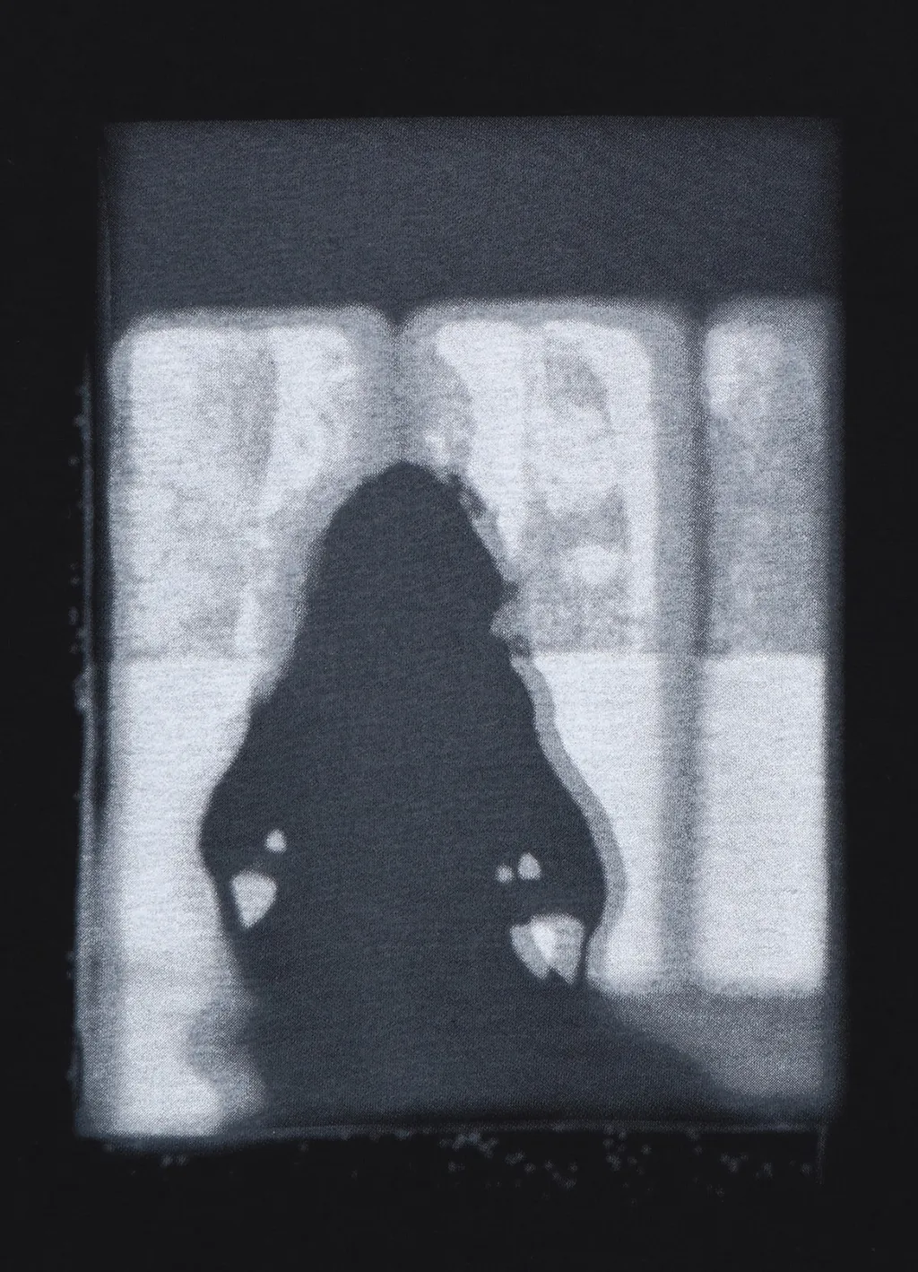 Graphic T-Shirt C Shadow
