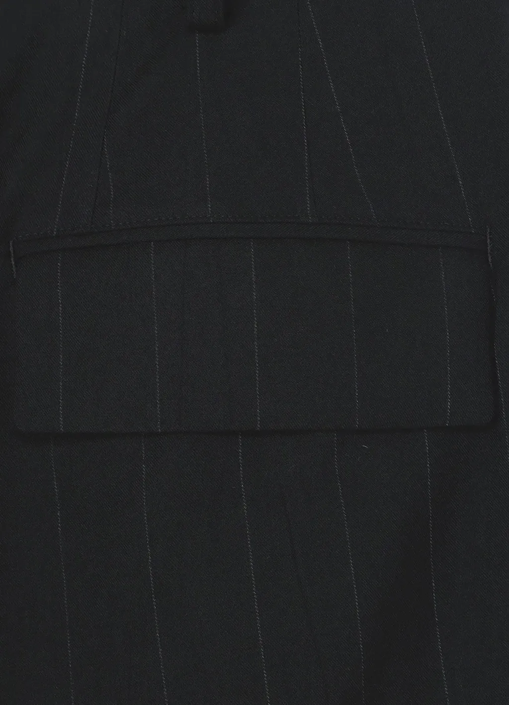 W/Ry Light Stripe Double Tucked Wide Pants