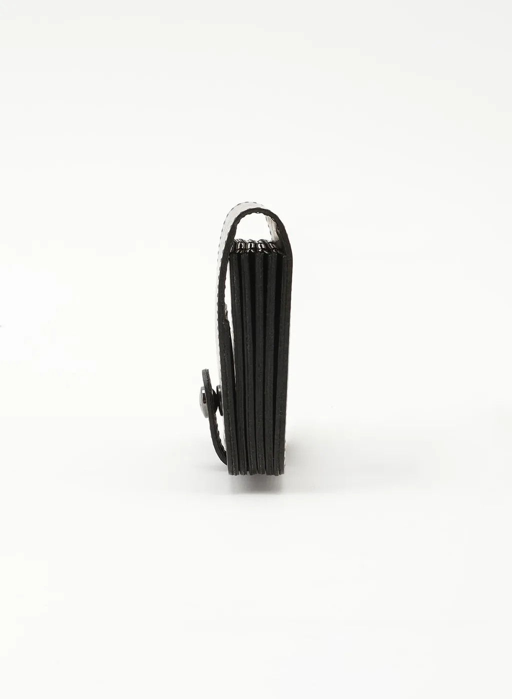 Accordion Cardcase