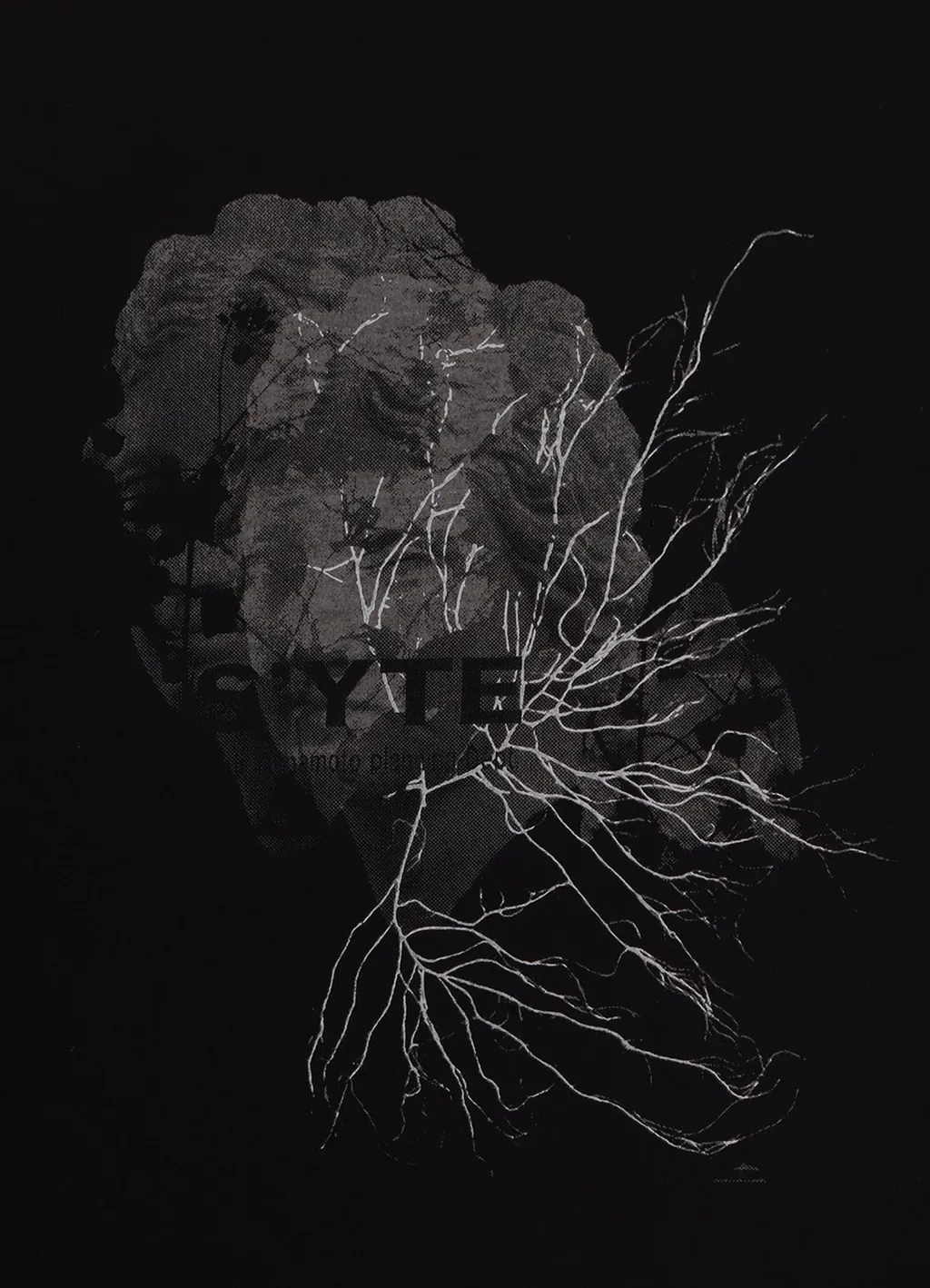 Graphic T-Shirt -Sculpture-