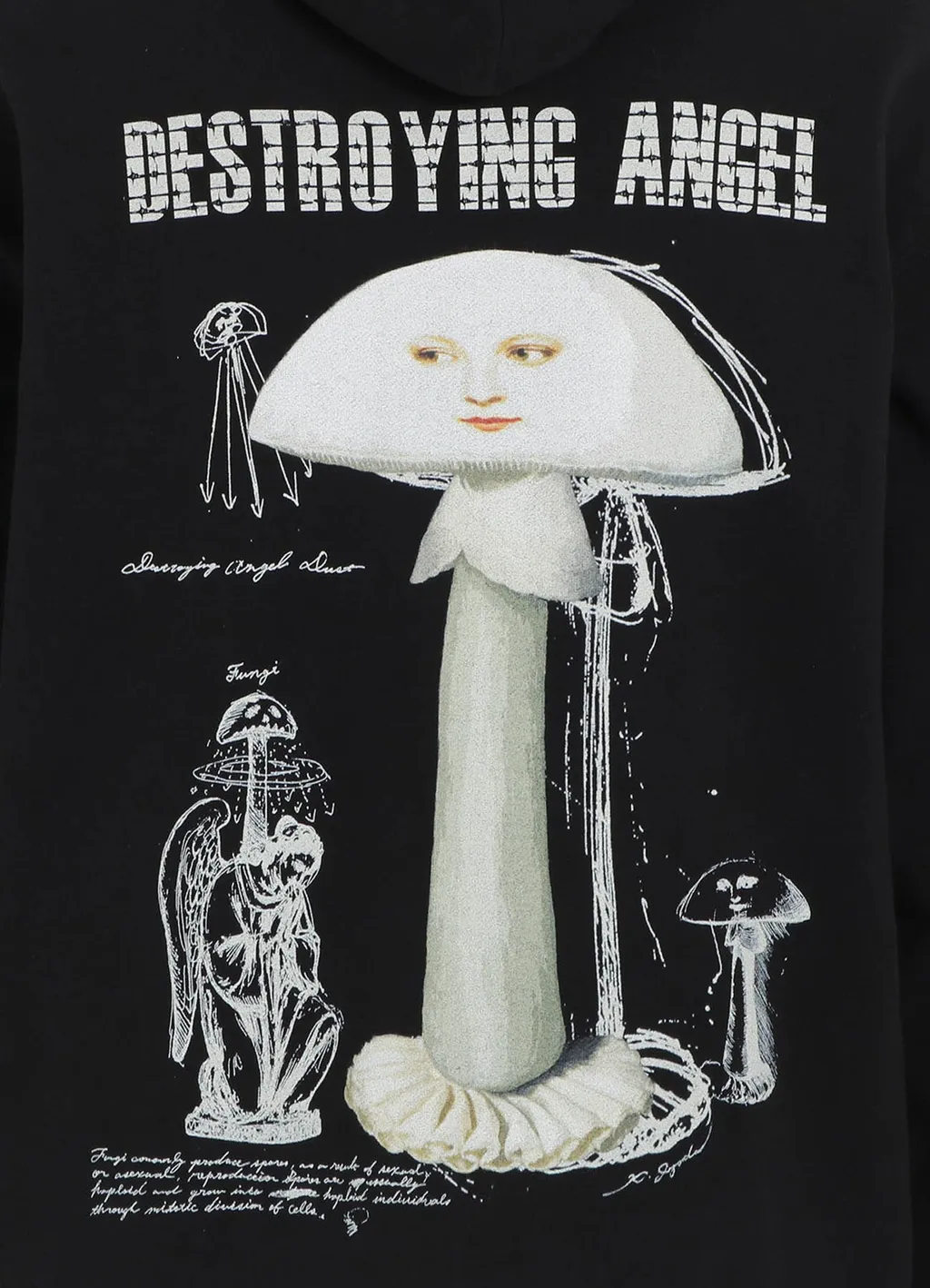 S'yte X Koichi Iyoda Artwork Printed Hoodie -Destroying Angel-