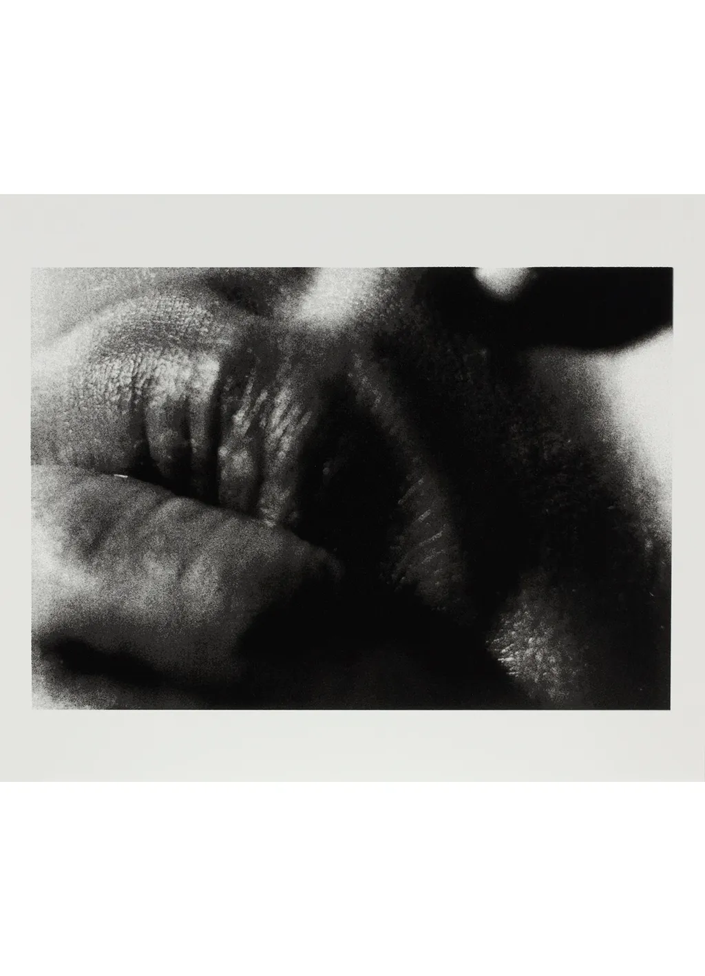 Daido Moriyama Farewell Photography