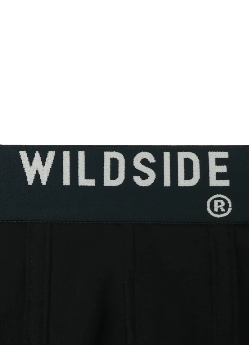 Wildside Logo Trunks