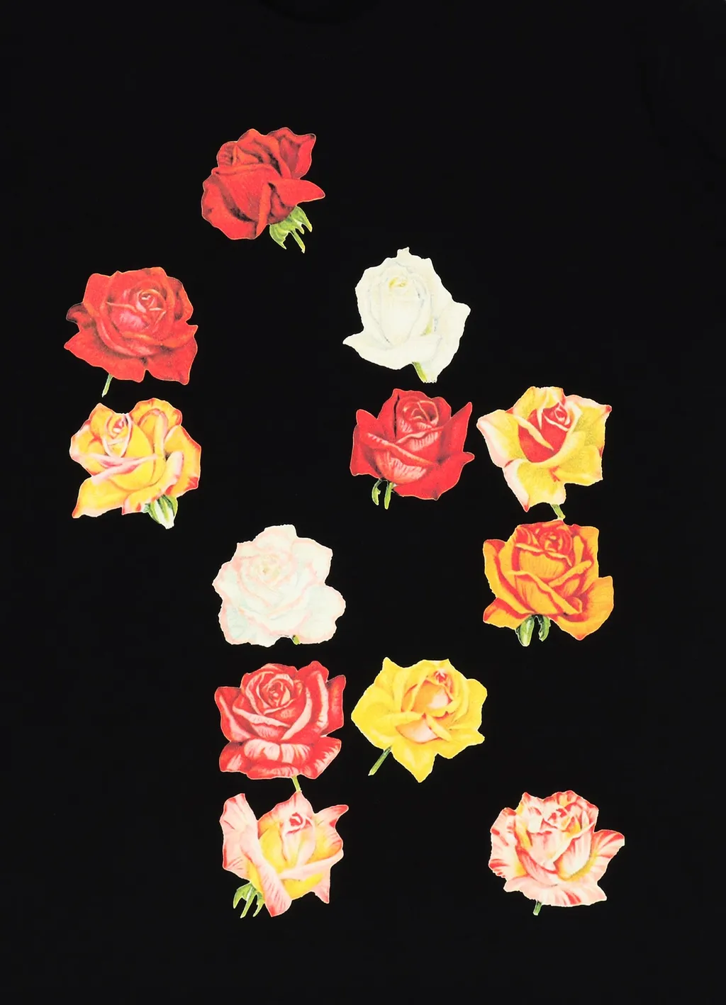 Inazuma Flowers T-Shirt B