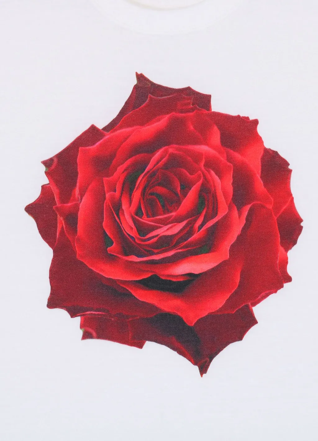 Red Rose White T-Shirt
