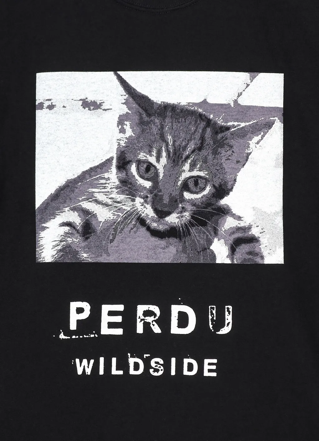 Chaton Perdu T-Shirt