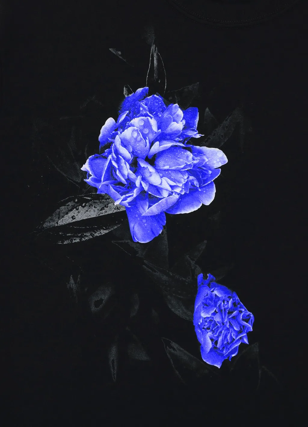 Blue Rose T-Shirt