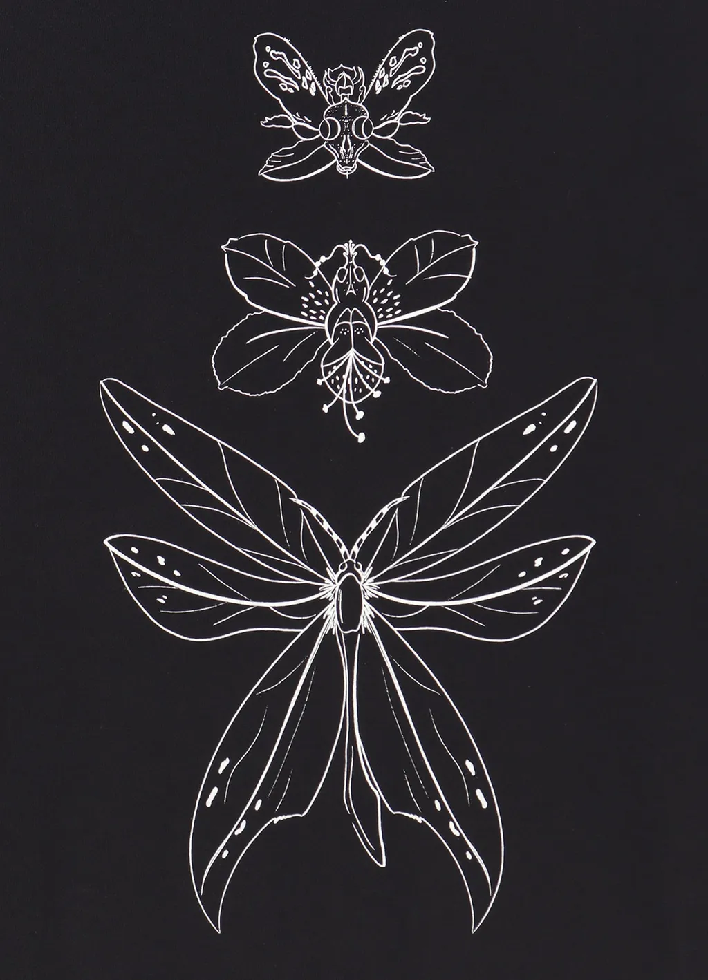 Wildside × Iracema Insects Line Hoodie