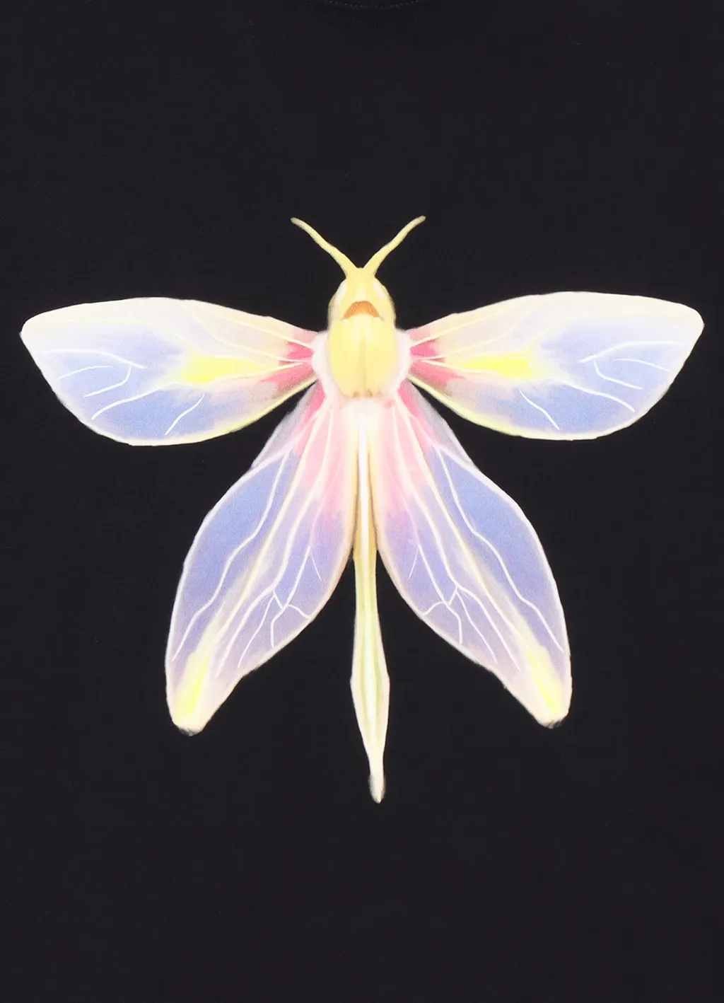 Wildside × Iracema Dragonfly T-Shirt