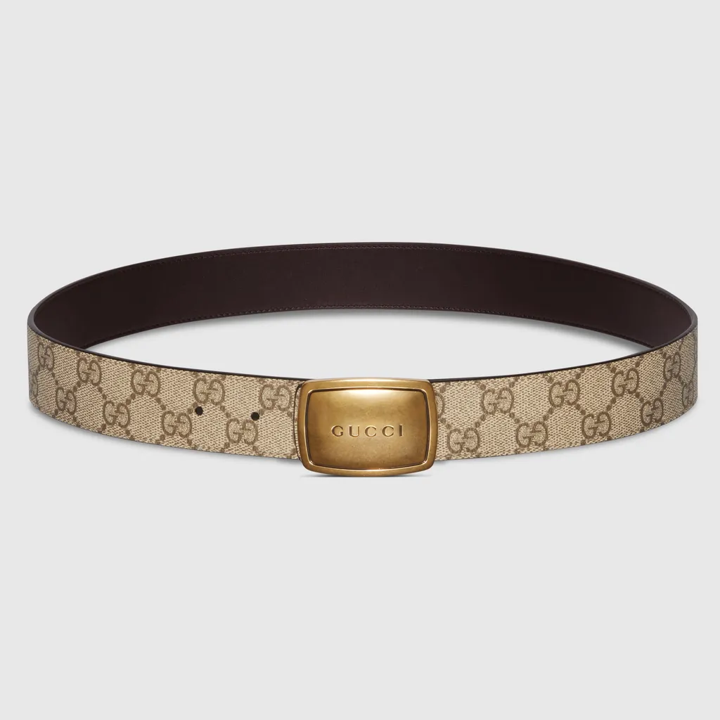 Belt With Plaque Buckle