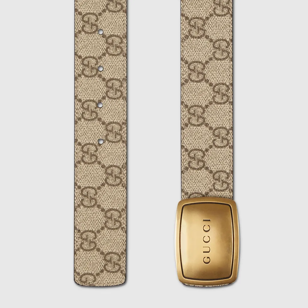 Belt With Plaque Buckle