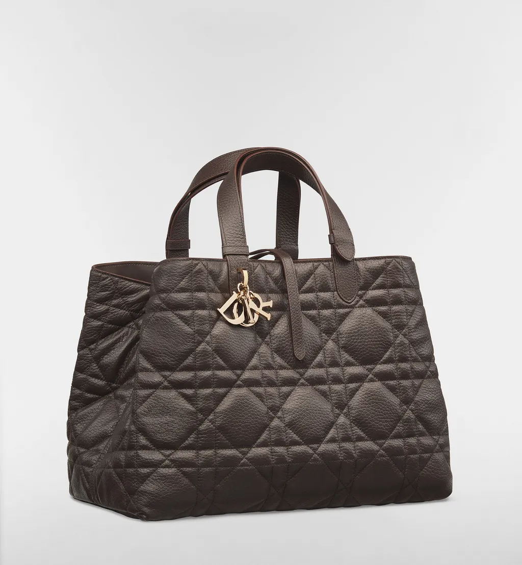 Large Dior Toujours Bag