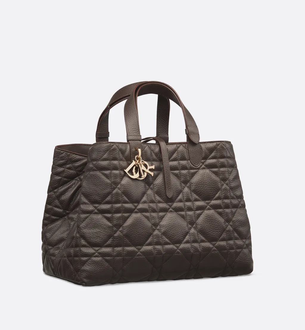 Large Dior Toujours Bag
