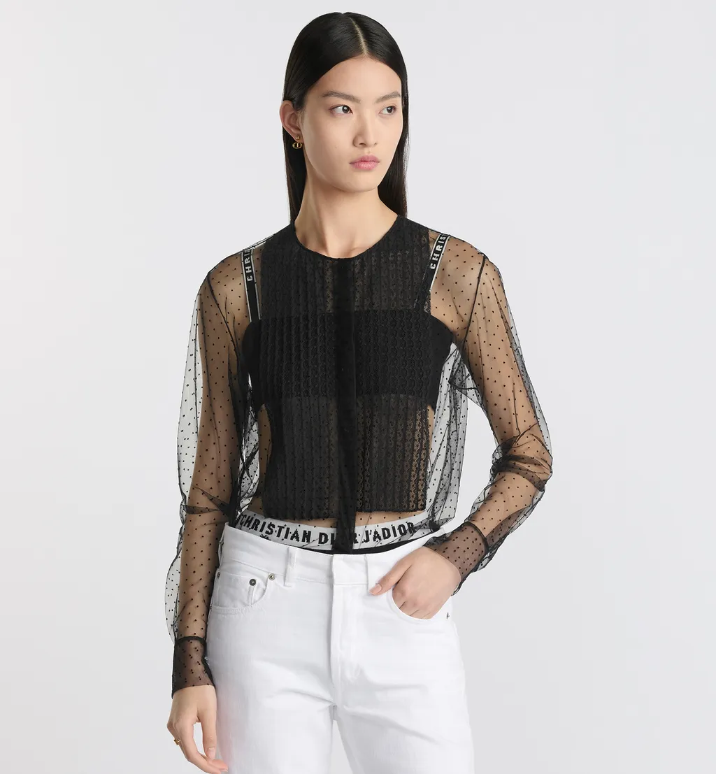 Sheer Blouse With Plastron