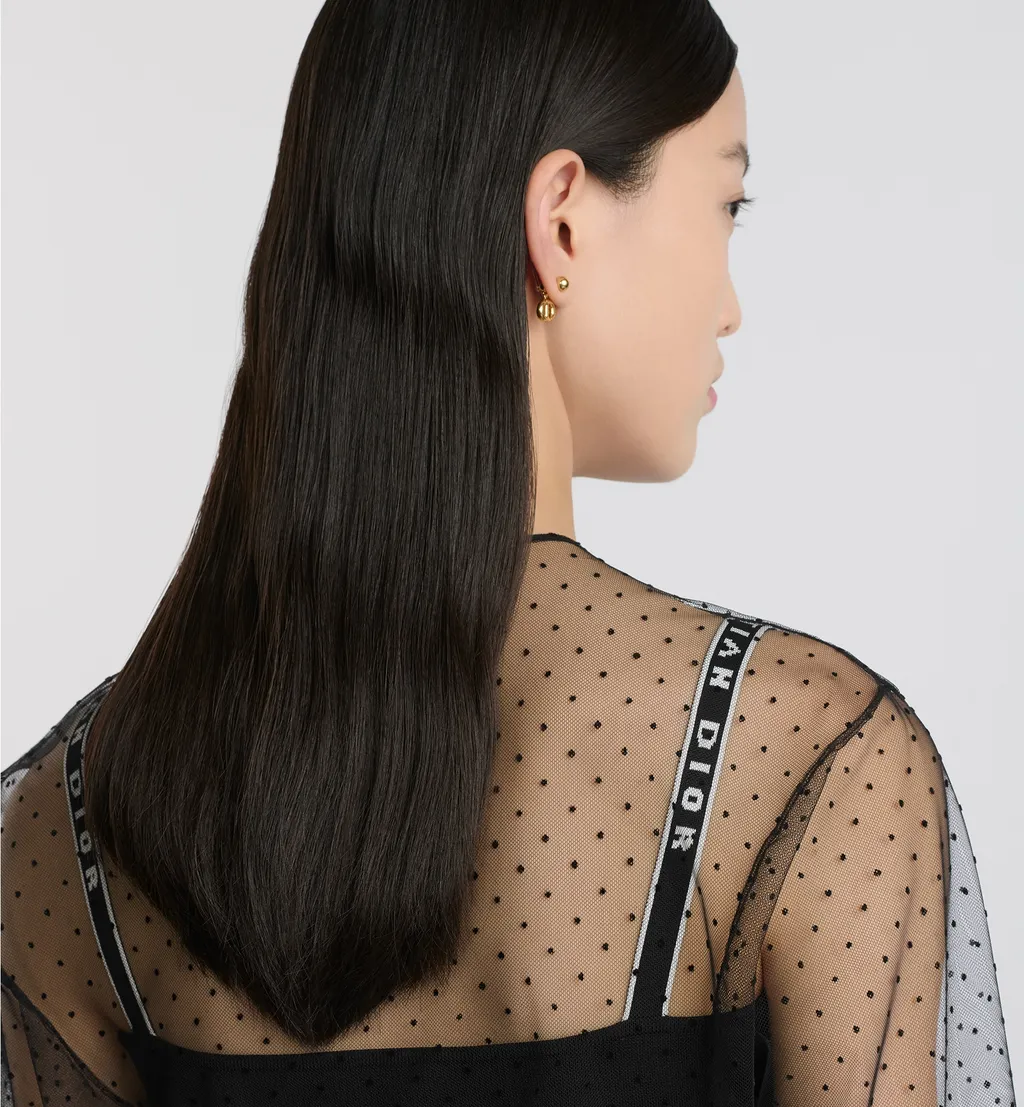 Sheer Blouse With Plastron
