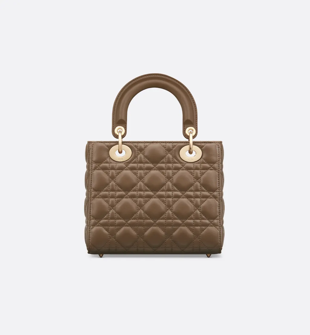 Small Lady Dior My Abcdior Bag