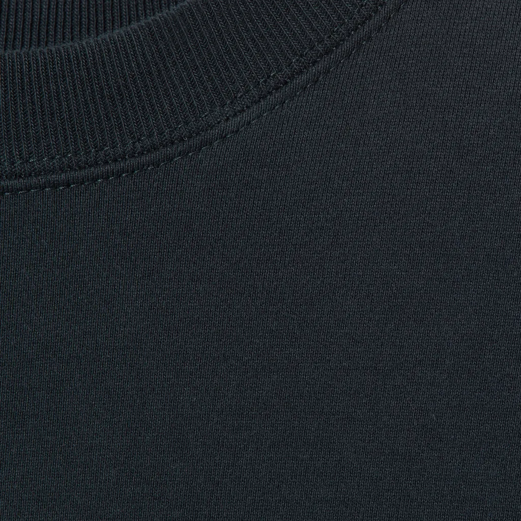 Cotton Jersey Sweatshirt With Embroidery