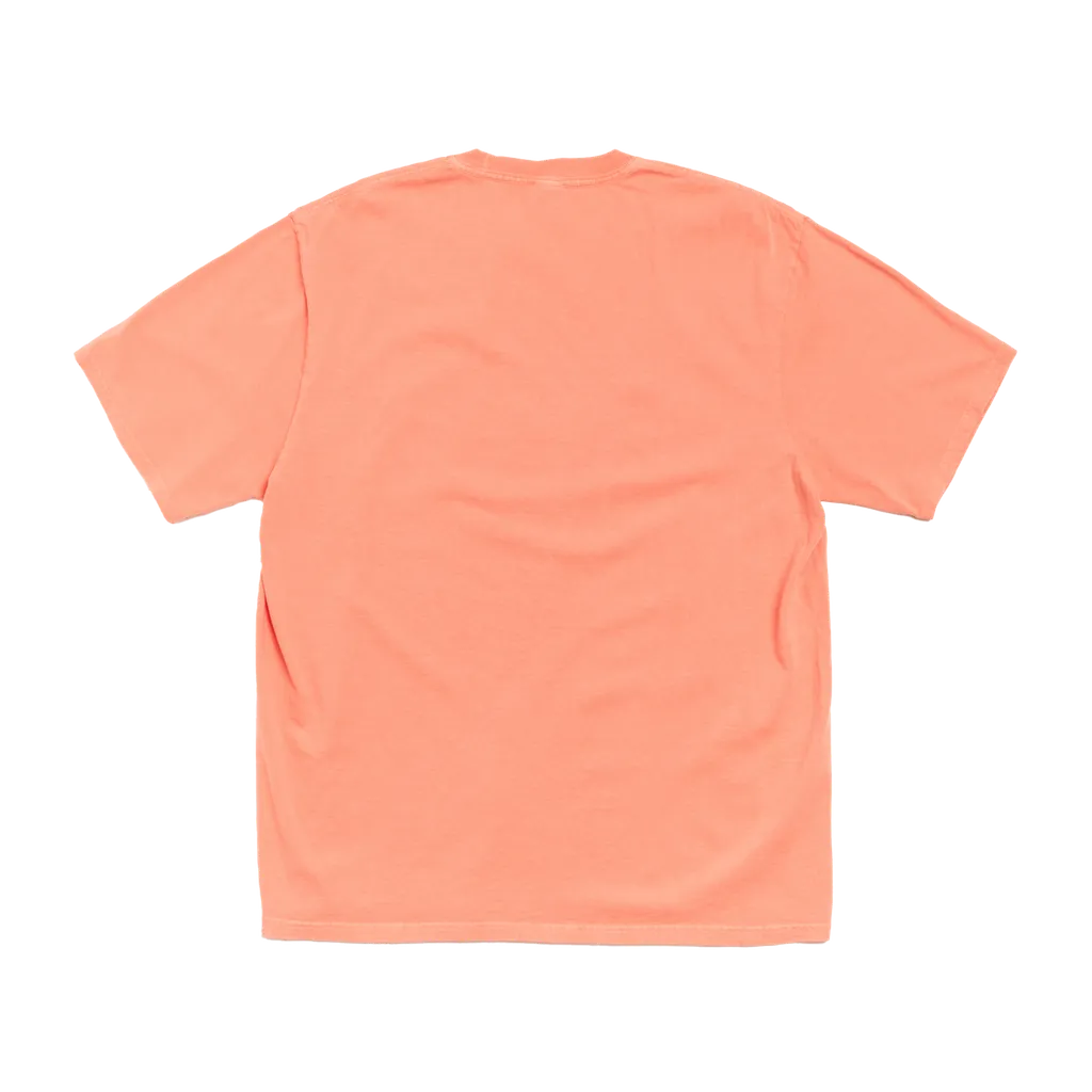 Stretch Pig. Dyed Tee