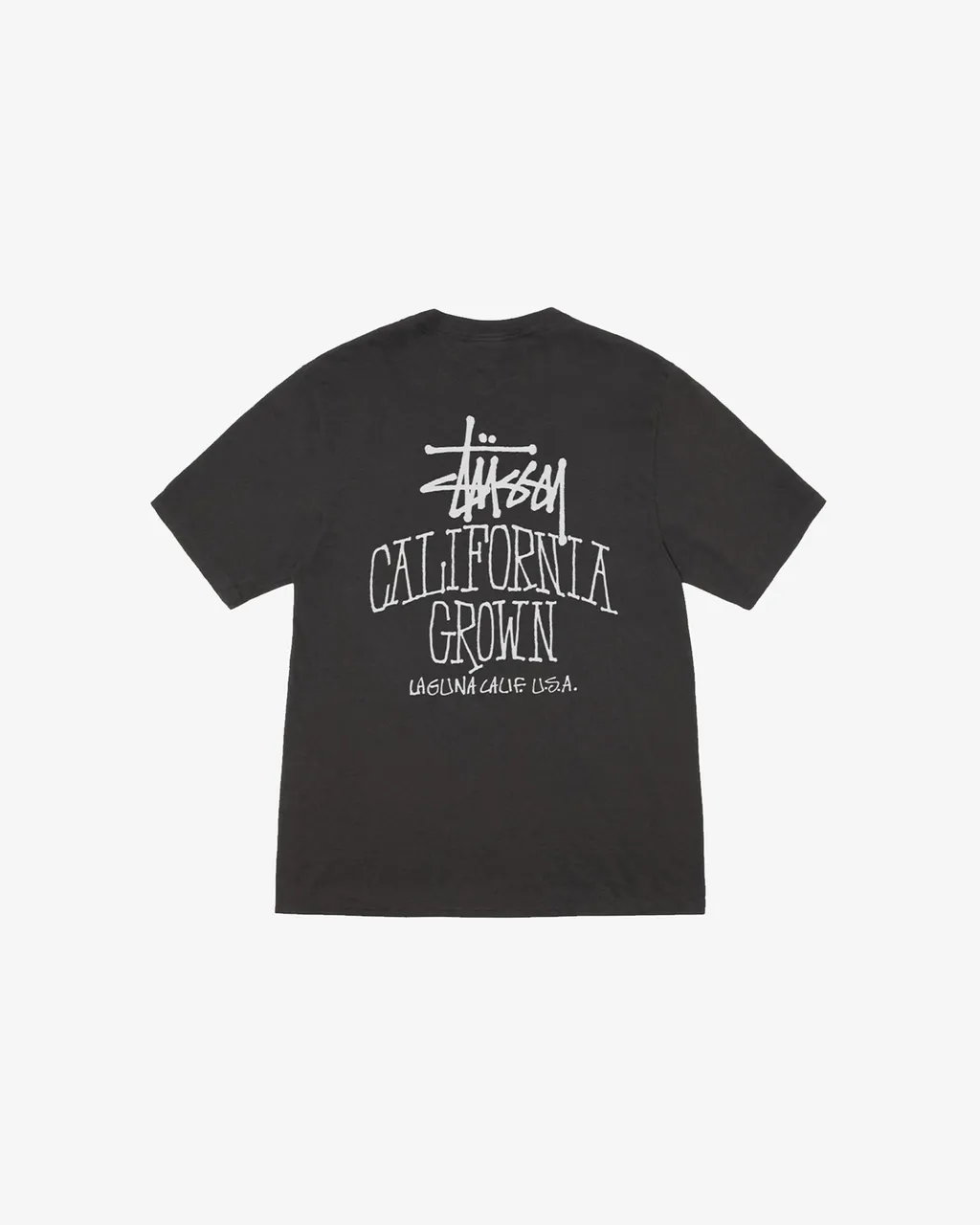Cali Grown Pig. Dyed Tee