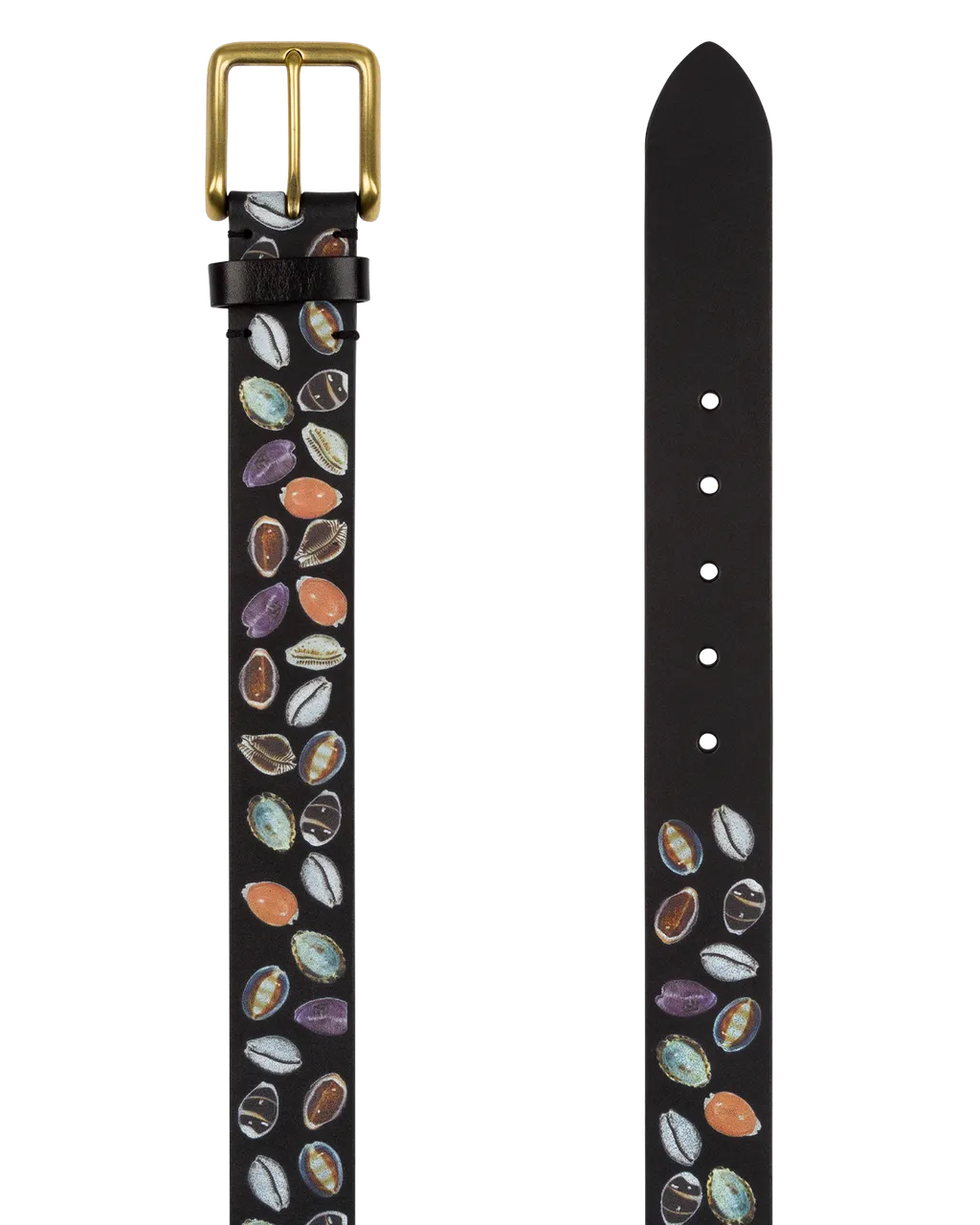 Shell Belt