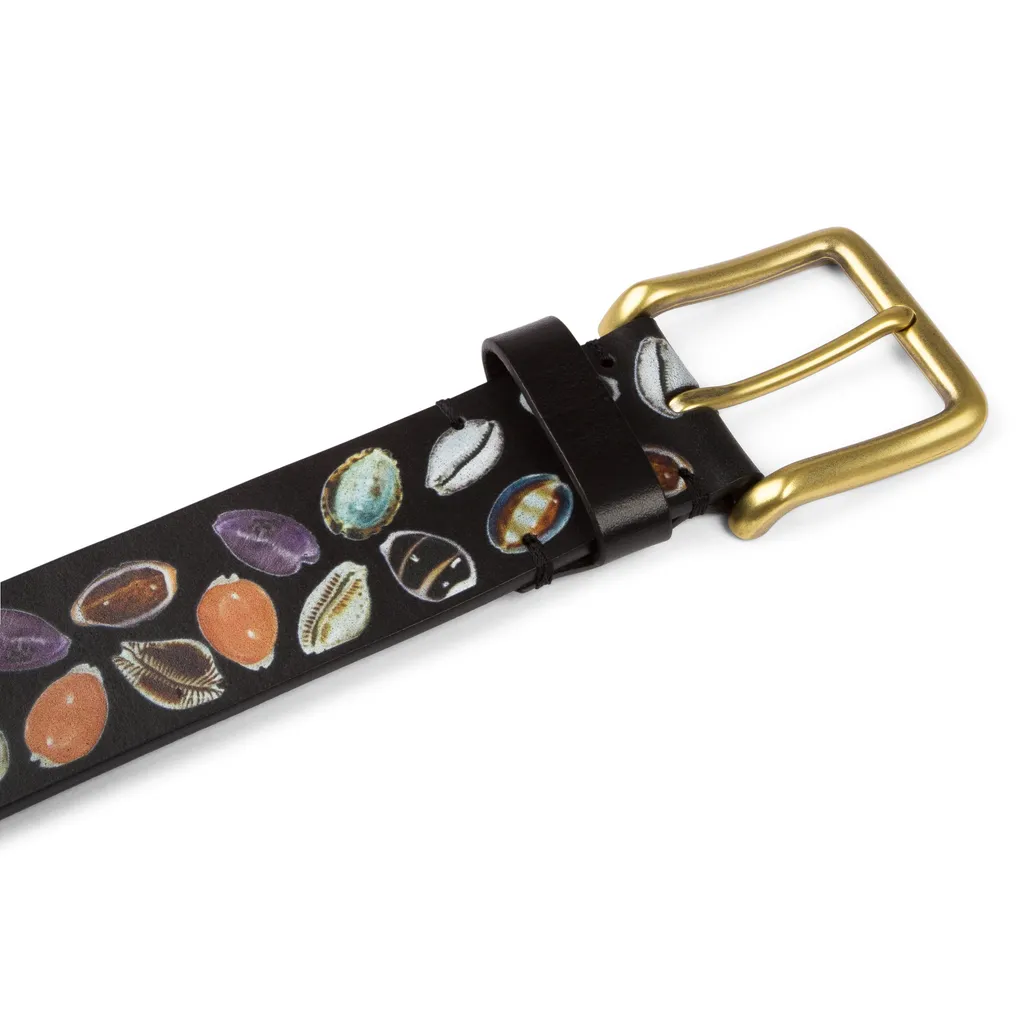 Shell Belt
