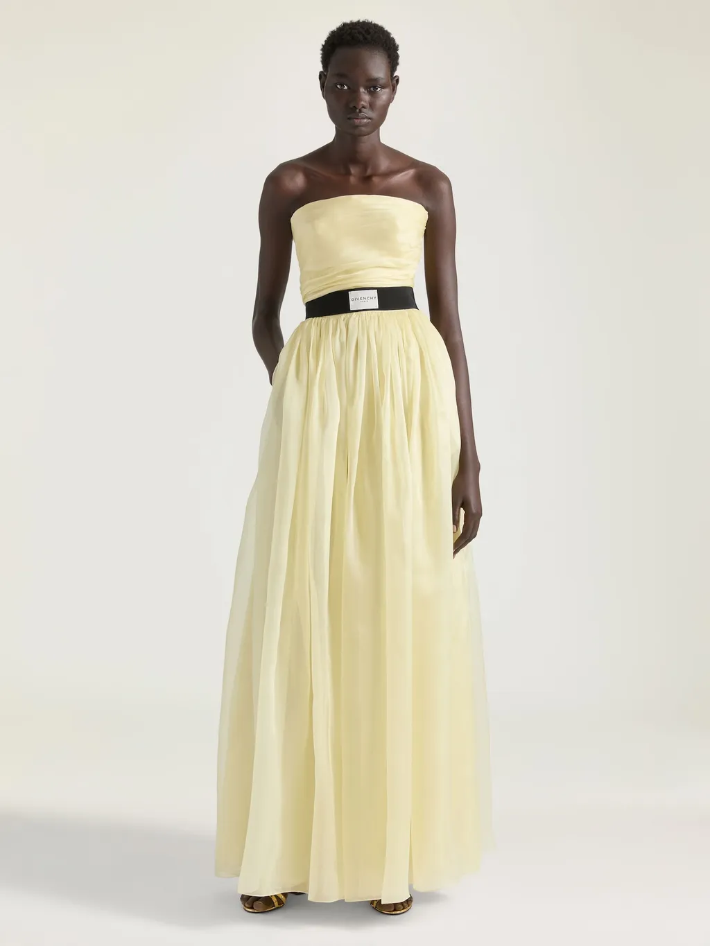 Bustier Evening Dress In Organza