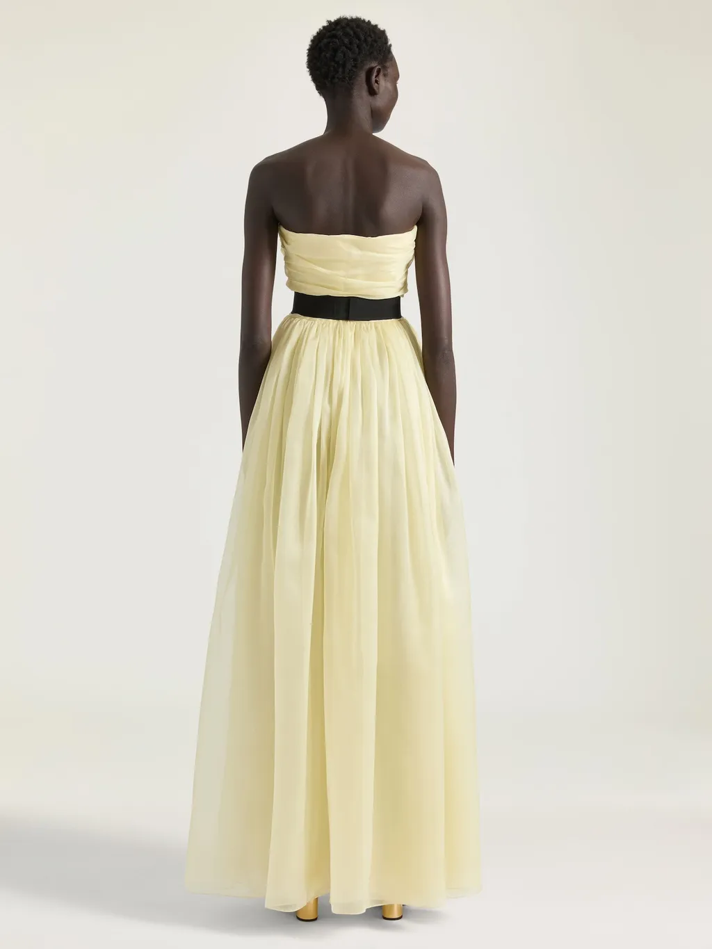 Bustier Evening Dress In Organza