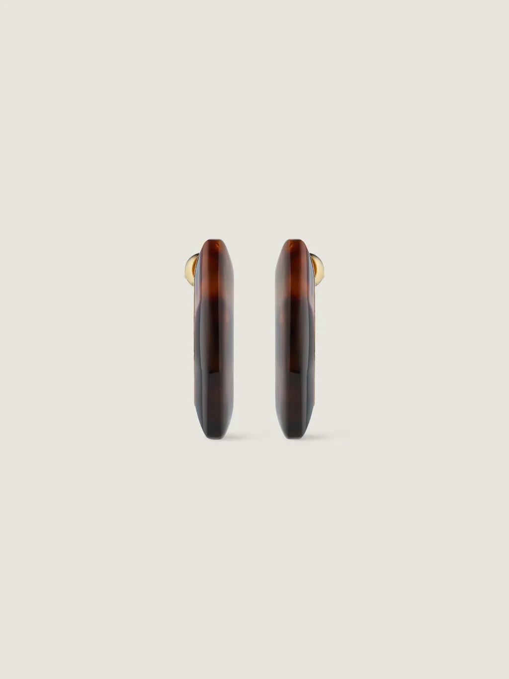 Chain Earrings In Metal And Resin