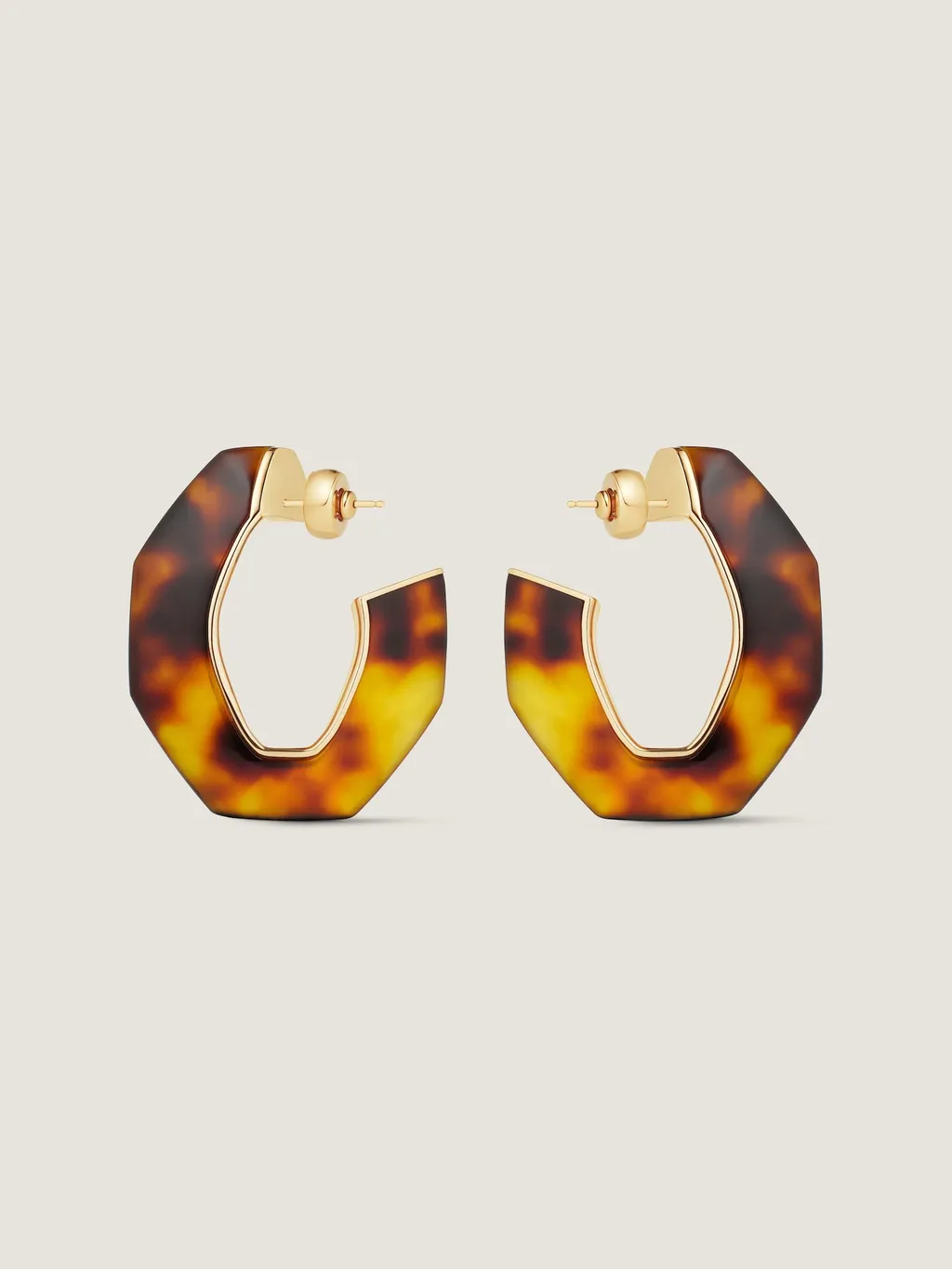 Chain Earrings In Metal And Resin