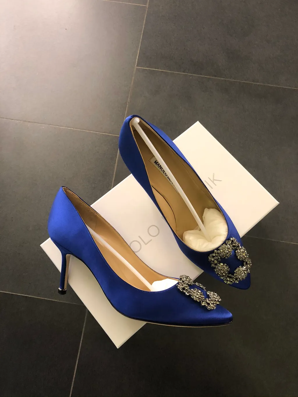 Manolo Blahnik Hangisi Embellished Pointed Toe Pumps